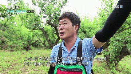 한국기행 - Korea travel_저 너머, 그곳에 가면 2부- 여름 보약, 엄마 밥_#002