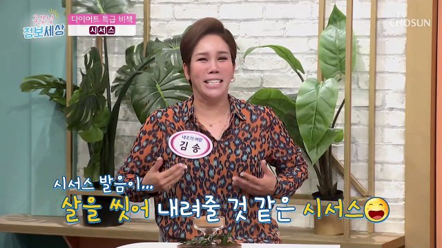 신비의 식물 시서스 뱃살을 쏙~ 다이어트에 도움 TV CHOSUN 220719 방송