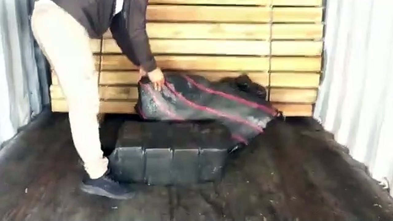 Ekvador'da varış yeri Türkiye olduğu iddia edilen konteynerde 95 kilo kokain çıktı