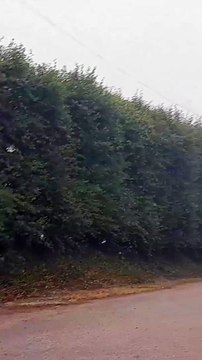 Aude de L'amour est dans le pré voit un incendie s'approcher de sa maison.