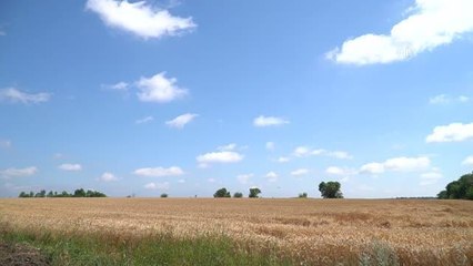 Ukrayna'nın Luhansk bölgesinde, Rus güçlerinin kontrolü altındaki tarım alanları havadan görüntülendi