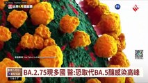 【台語新聞】BA.2.75現多國 醫:恐取代BA.5釀感染高峰