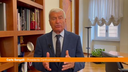 Sangalli "Draghi continui a guidare il Governo"