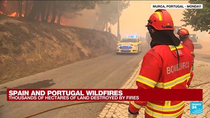 Wildfires ravage Spanish region twice in a month