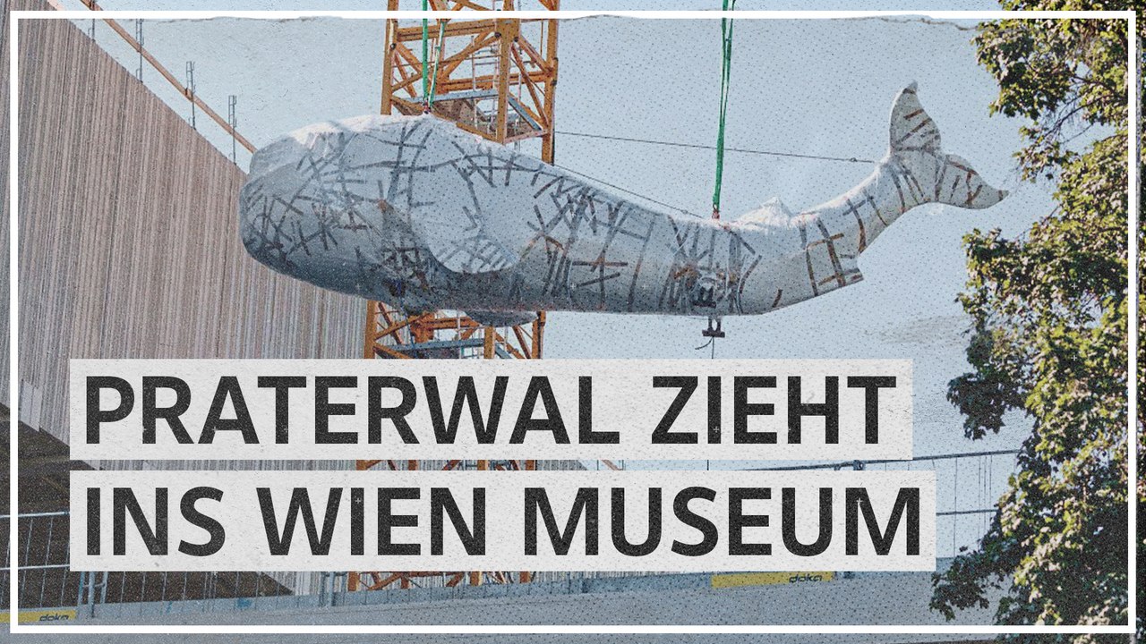 Praterwal mit Kran ins Wien Museum gehievt