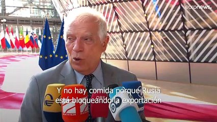 La UE espera un acuerdo Rusia-Ucrania para la exportación de grano