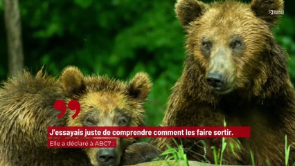 Un ours s'est introduit dans une maison en Californie et s'est empiffré de beignets !