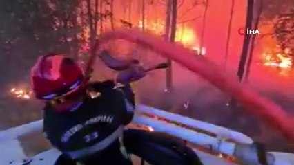 Son dakika haberi... Fransa'daki orman yangınlarında 19 bin 300 hektar alan kül oldu