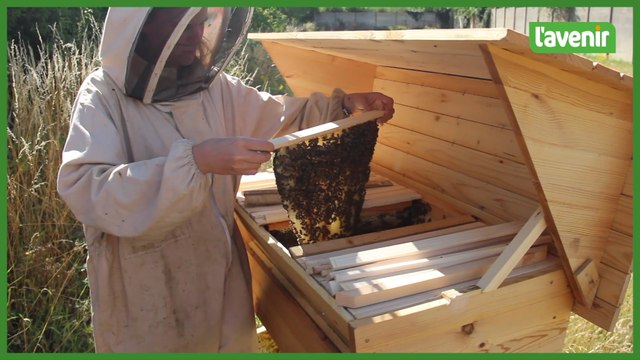 L’AGE de l’UNamur installe une ruche à Jambes