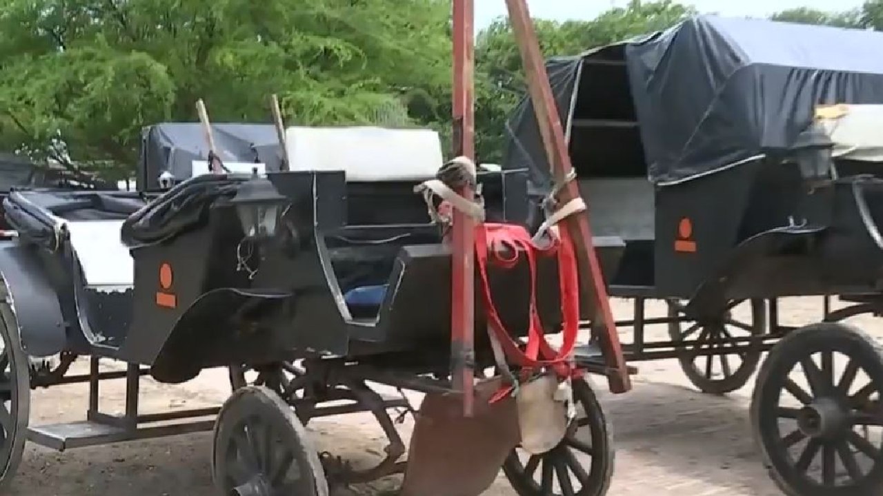 Polémica en Cartagena por propuesta de coches turísticos eléctricos