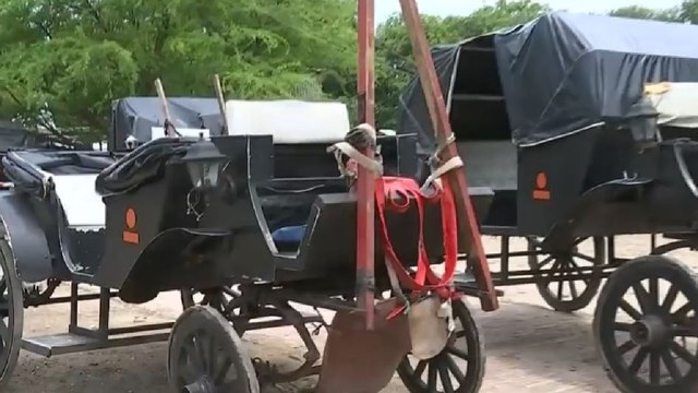 Polémica en Cartagena por propuesta de coches turísticos eléctricos