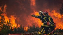 Fransa'daki orman yangınlarında 19 bin 300 hektar alan kül oldu