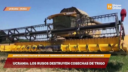 Ucrania: los rusos destruyen cosechas de trigo
