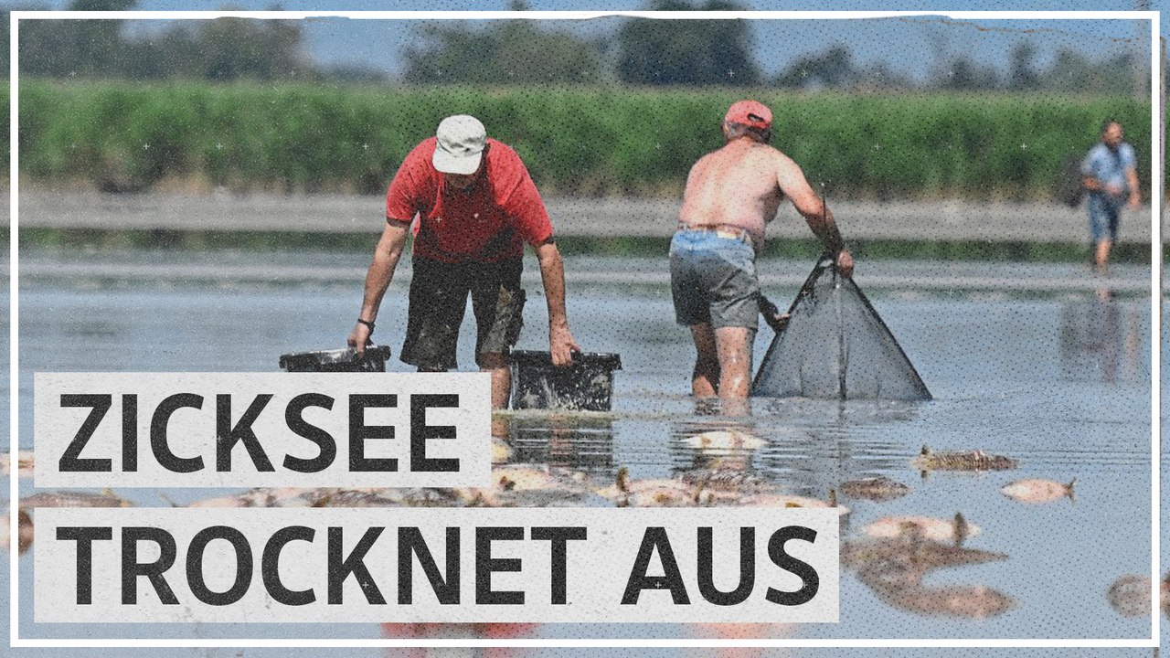 Hitzewelle in Österreich lässt Zicksee austrocknen