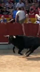 Funny Bull/Comedy Bull Video#Animals World Pro