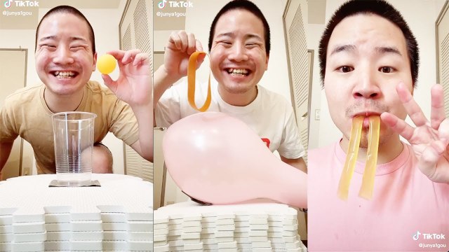 Money or Super Cute Dogs - What Would You Choose Panda Boi New Social Experiment Tiktok Videos