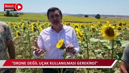 "Tarlalarda tırtıl istilası gün geçtikçe yayılıyor"