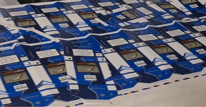 Padova - Crac da 2 milioni di società di commercio plastiche e noleggio veicoli: sequestri della Gdf (19.07.22)