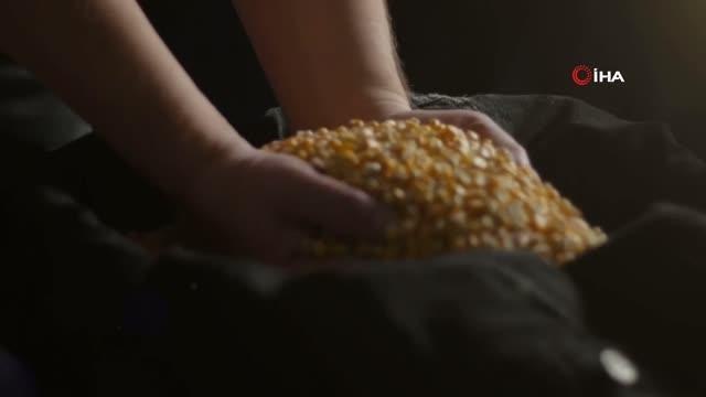 Bakan Vahit Kirişci: Tarımsal üretimin katma değerli hale gelmesi bizi mutlu ediyor