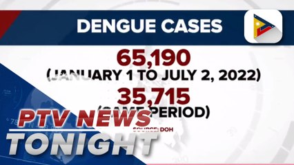 Over 65-K dengue cases recorded from January 1 - July 2, 2022