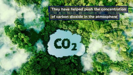 Extreme weather and  Climate Change