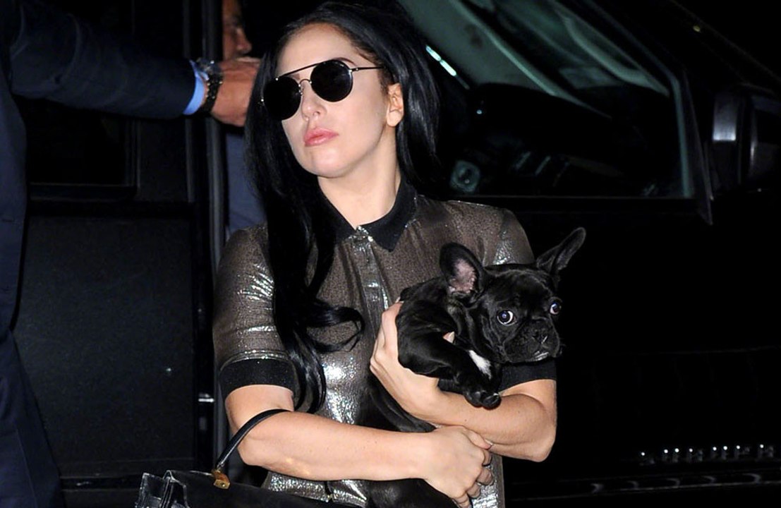US Marshals hunting for Lady Gaga dog walker shooting suspect