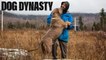 All Dogs Go To Heaven | DOG DYNASTY