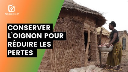Burkina Faso : Conserver l’oignon pour réduire les pertes