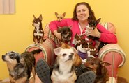 Precious Pups: New York's Chihuahua Rescue Home