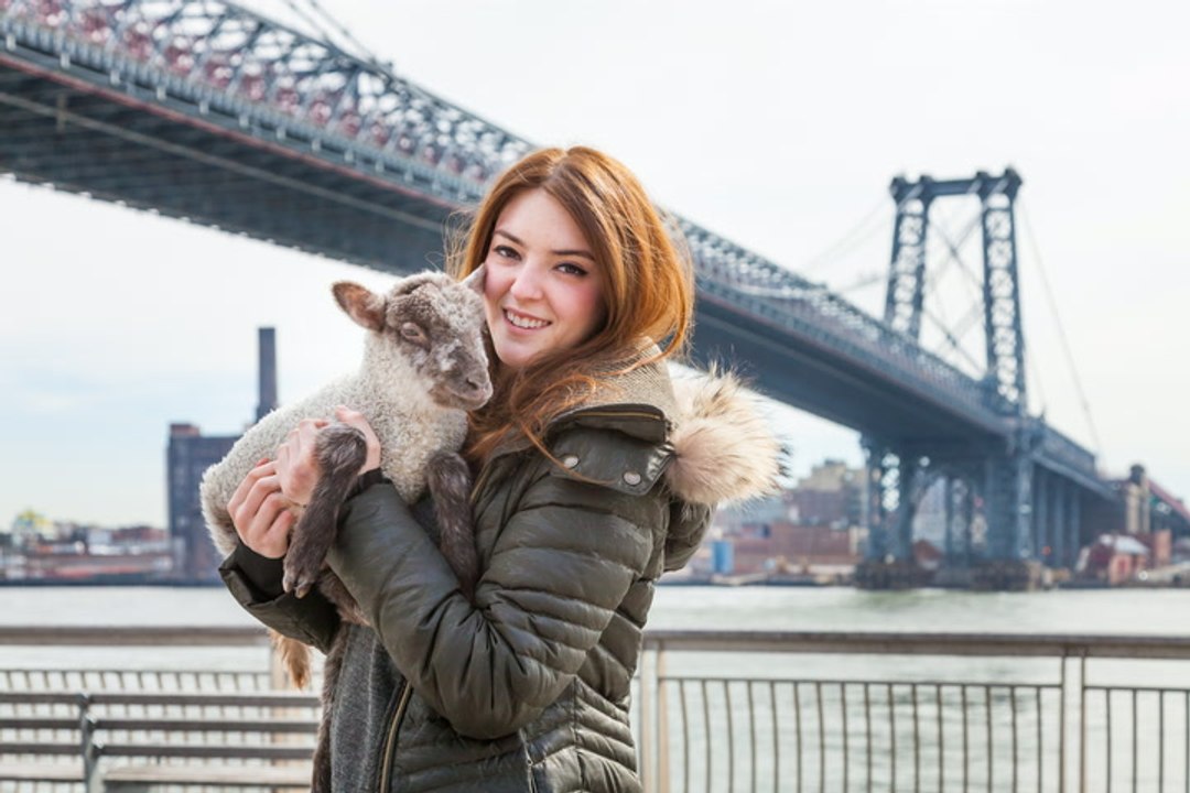 Cute Pet Lamb Lives In New York City Apartment