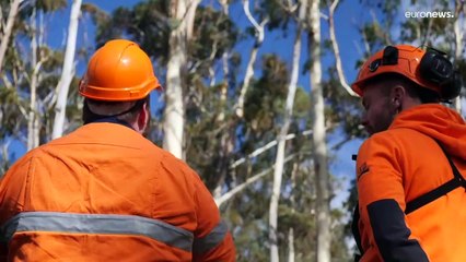 Meio ambiente da Austrália em declínio