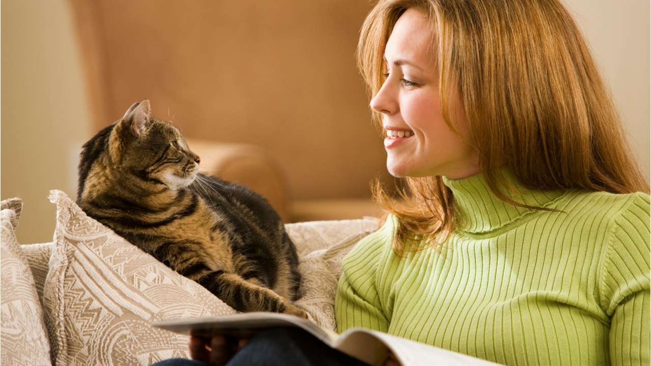 Adopter un chat ou un cheval : voici les nouvelles règles à connaître