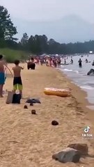 Des ours se baignent sur une plage pleine de touristes