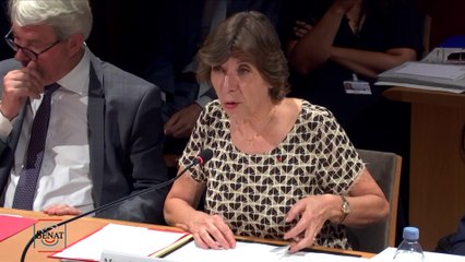 Suppression du corps diplomatique: Catherine Colonna prend note des propositions du Sénat