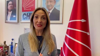 Aylin Nazlıaka'dan Danıştay'a İstanbul Sözleşmesi Tepkisi: "Katledilen Tüm Kadınların Vebali Tek Adamın Sorumluluğudur"