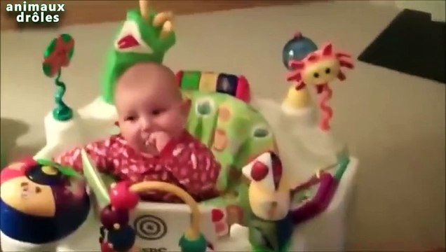 Chiens drôles - Meilleure Garde animaux pour bébés Compilation 2014