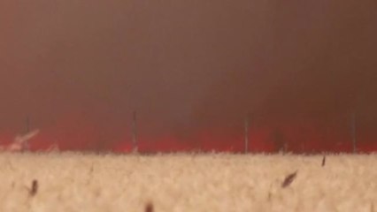 El vecino de Tábara que intento hacer un cortafuegos con su máquina tienen el 80% del cuerpo quemado