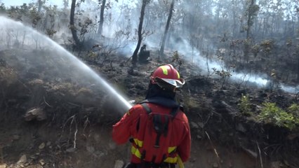 Los bomberos de Castilla y León, al límite: "Perder la vida es peor que perder el trabajo"
