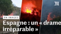En Espagne, des incendies détruisent plus de 20 000 hectares et tuent deux personnes
