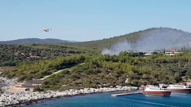 Milas’taki orman yangını kontrol altına alındı