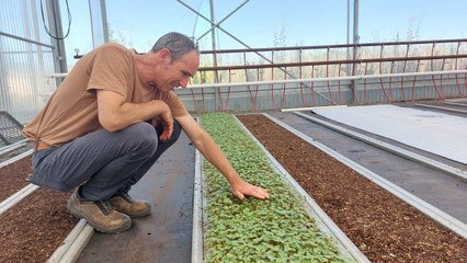 Nantes : une ferme urbaine produit des micropousses, un aliment nutritionnel qui se démocratise