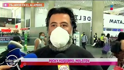 Molotov responde a Christian Chávez y dice que no les gusta RBD