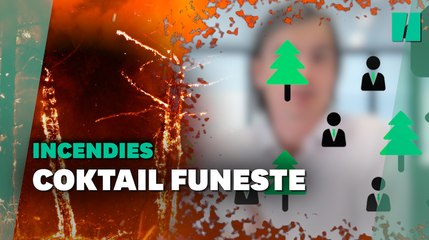 Pourquoi l'origine des départs de feu doit devenir le centre du débat