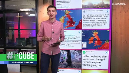 Latest news bulletin | July 19th – Evening
