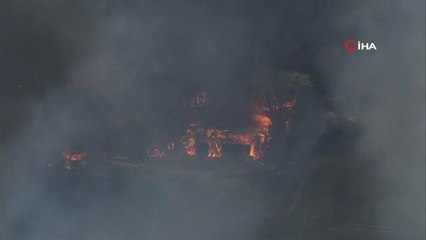 İngiltere'de aşırı sıcaklar sonucu yangın çıktı