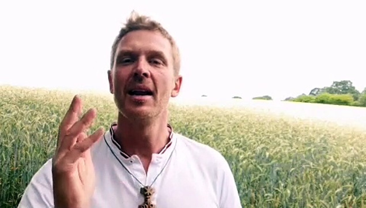 # VOLKSLEHRER : Nachrichtenüberblick mit dem VL