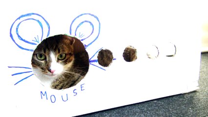 Kitten Rudolph Spies from His Toy House