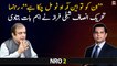 "They have got NRO 2," said PTI leader Shibli Faraz