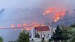 Grécia. Incêndio florestal ameaça residências em Atenas