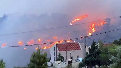 下载视频: Grécia. Incêndio florestal ameaça residências em Atenas